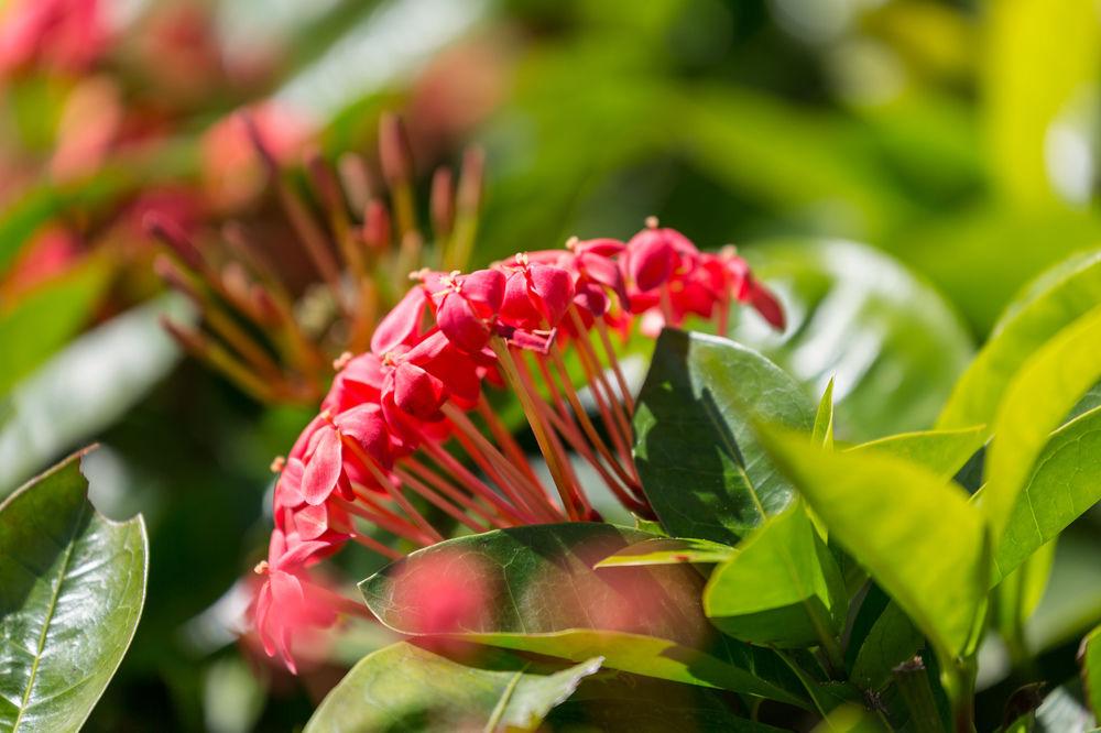 Courtyard By Marriott Waikiki Beach Honolulu Luaran gambar