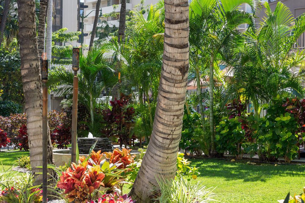 Courtyard By Marriott Waikiki Beach Honolulu Luaran gambar